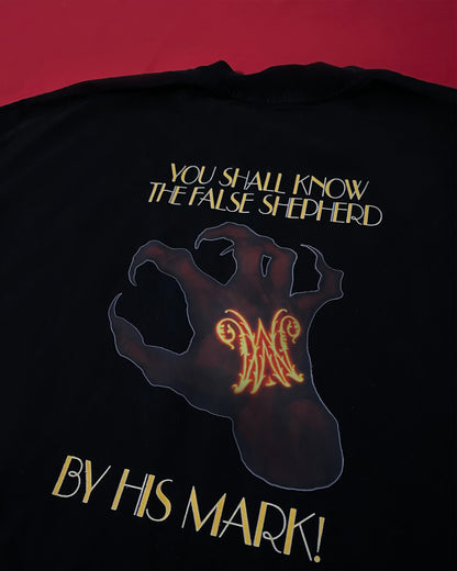 Camiseta Boxy - False Shepherd