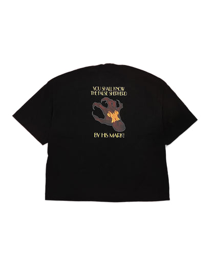 Camiseta Boxy - False Shepherd